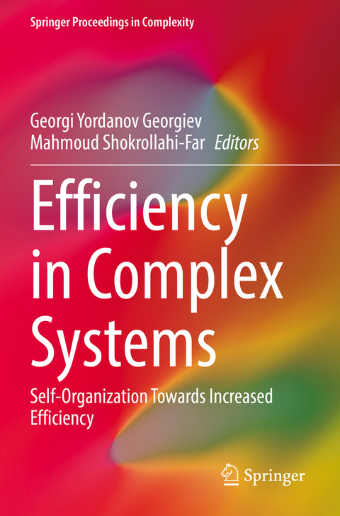 Efficiency in Complex Systems - 