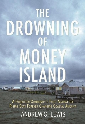 The Drowning of Money Island - Andrew S. Lewis