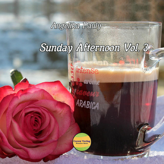 Sunday Afternoon Vol. 3