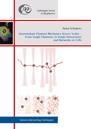 Intermediate Filament Mechanics Across Scales – From Single Filaments to Single Interactions and Networks in Cells
