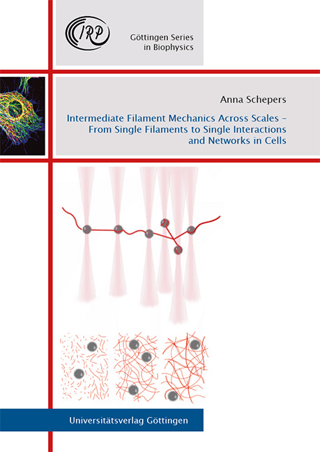 Intermediate Filament Mechanics Across Scales &ndash; From Single Filaments to Single Interactions and Networks in Cells - Anna Veronika Schepers