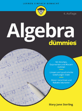Algebra für Dummies - Sterling, Mary Jane