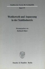 Wettbewerb und Anpassung in der Stahlindustrie. - 