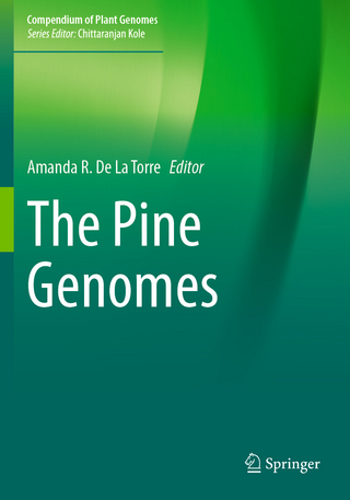 The Pine Genomes