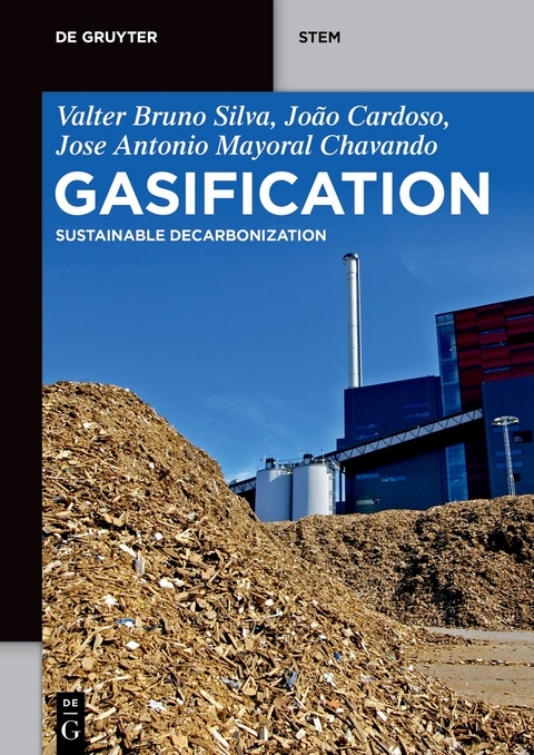 Gasification - Valter Bruno Silva, Jo&atilde;o Cardoso, Antonio Chavando