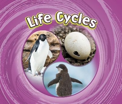 Life Cycles - Jaclyn Jaycox