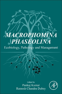 Macrophomina Phaseolina