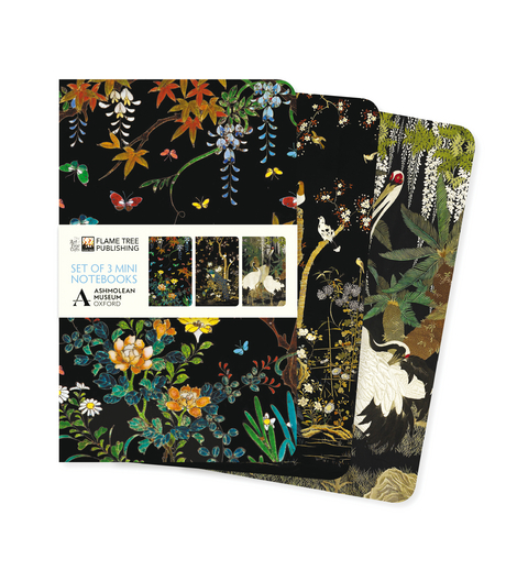 Ashmolean Museum Set of 3 Mini Notebooks - 