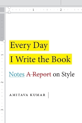 Every Day I Write the Book - Amitava Kumar