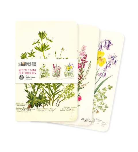 Royal Botanic Garden Edinburgh Set of 3 Mini Notebooks - 
