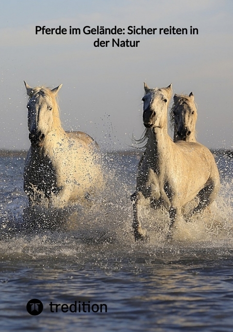 Pferde im Gel&auml;nde: Sicher reiten in der Natur -  Moritz