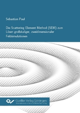 Die Scattering Element Method (SEM) zum L&ouml;sen gro&szlig;skaliger, zweidimensionaler Feldsimulationen - Sebastian Paul