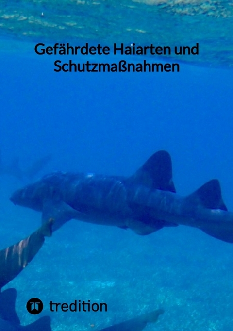 Gef&auml;hrdete Haiarten und Schutzma&szlig;nahmen -  Moritz