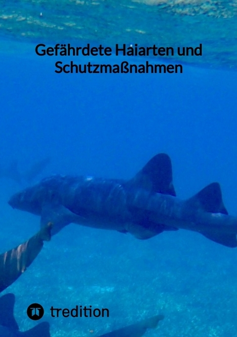 Gef&auml;hrdete Haiarten und Schutzma&szlig;nahmen -  Moritz