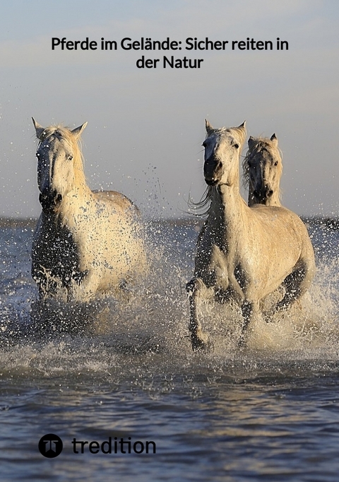 Pferde im Gel&auml;nde: Sicher reiten in der Natur -  Moritz