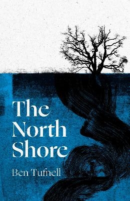 The North Shore - Ben Tufnell