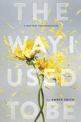 The Way I Used to Be - Amber Smith