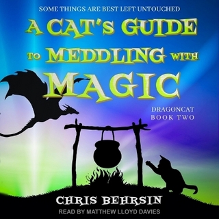 A Cat's Guide to Meddling with Magic