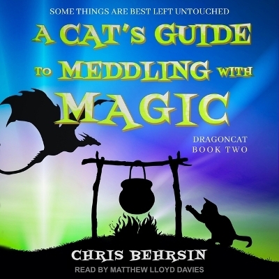 A Cat's Guide to Meddling with Magic - Chris Behrsin