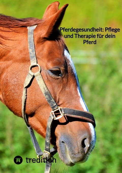 Pferdegesundheit: Pflege und Therapie f&uuml;r dein Pferd -  Moritz