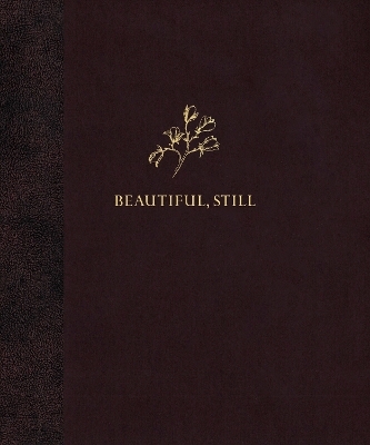 Beautiful, Still. - Colby Deal