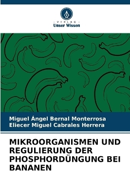 Mikroorganismen Und Regulierung Der Phosphordüngung Bei Bananen