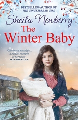 The Winter Baby - Sheila Newberry