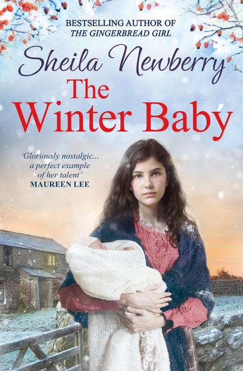 The Winter Baby - Sheila Newberry