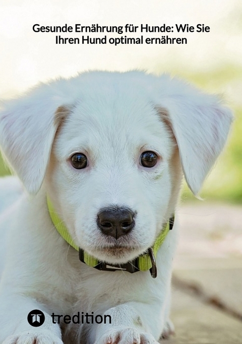 Gesunde Ern&auml;hrung f&uuml;r Hunde: Wie Sie Ihren Hund optimal ern&auml;hren -  Moritz