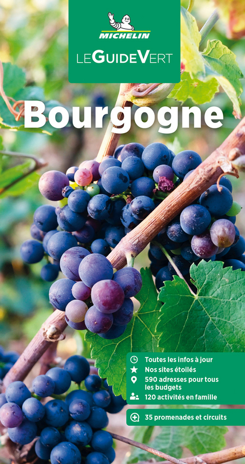 Bourgogne GVF
