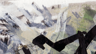 dedicated oder der Schrei der Elster 2005/2021