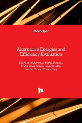 Alternative Energies and Efficiency Evaluation - 