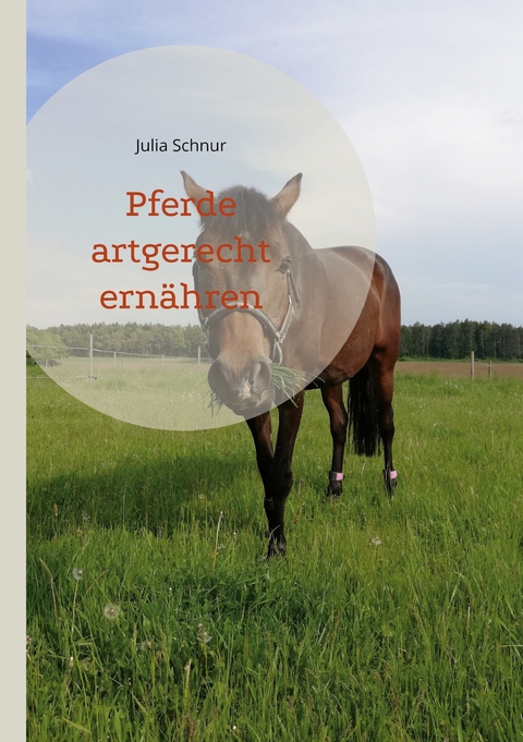 Pferde artgerecht ern&auml;hren - Julia Schnur