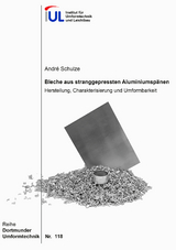 Bleche aus stranggepressten Aluminiumsp&auml;nen - Andr&eacute; Schulze