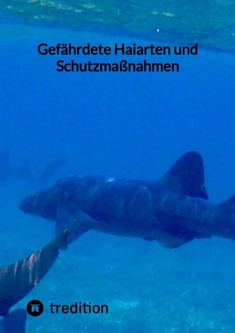 Gef&auml;hrdete Haiarten und Schutzma&szlig;nahmen -  Moritz