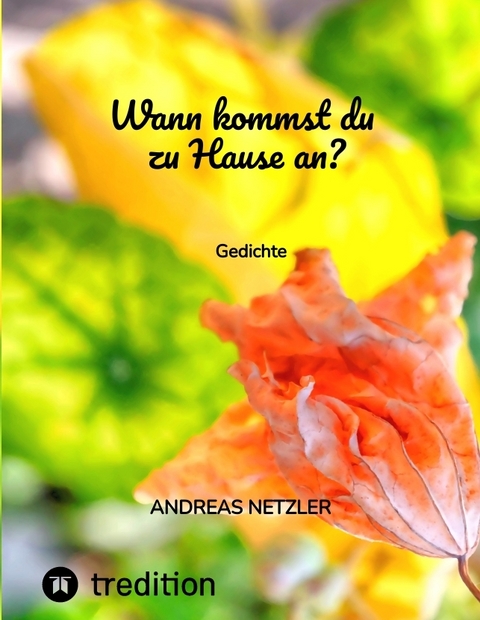 Wann kommst du zu Hause an? - Andreas Netzler