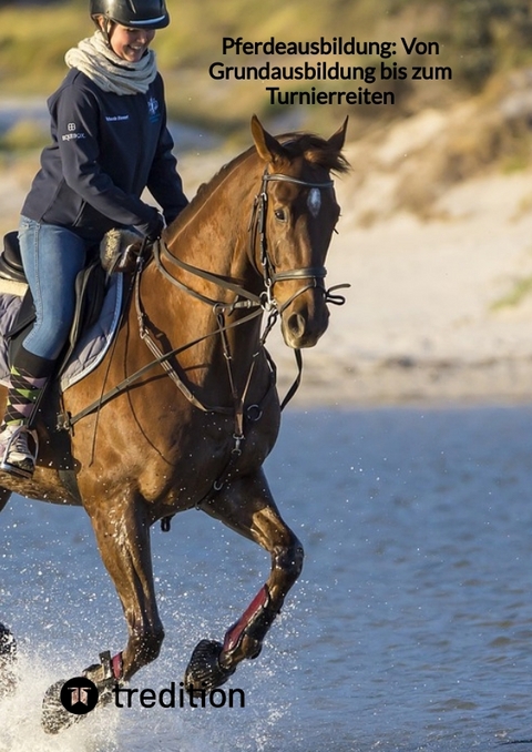 Pferdeausbildung: Von Grundausbildung bis zum Turnierreiten -  Moritz