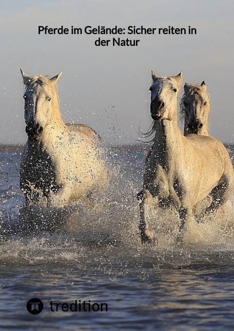 Pferde im Gel&auml;nde: Sicher reiten in der Natur -  Moritz