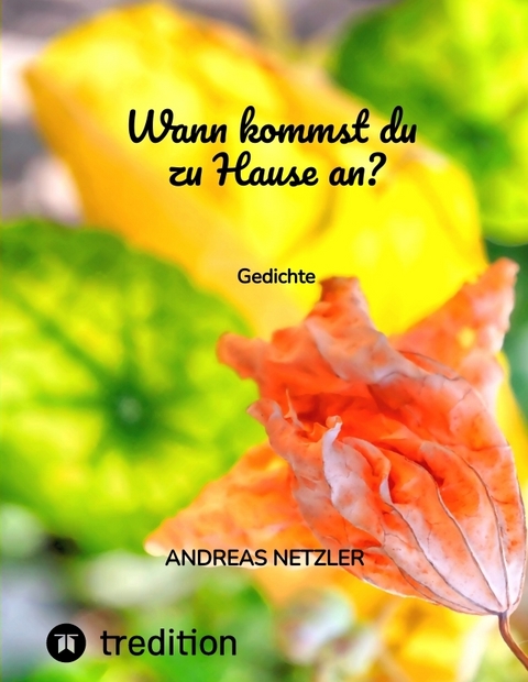 Wann kommst du zu Hause an? - Andreas Netzler
