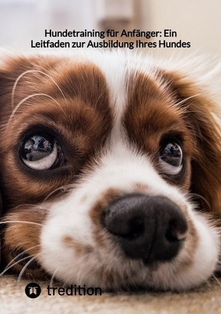 Hundetraining für Anfänger: Ein Leitfaden zur Ausbildung Ihres Hundes