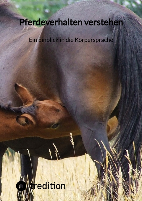 Pferdeverhalten verstehen: Ein Einblick in die K&ouml;rpersprache -  Moritz