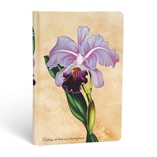 Brazilian Orchid Mini Lined Hardcover Journal