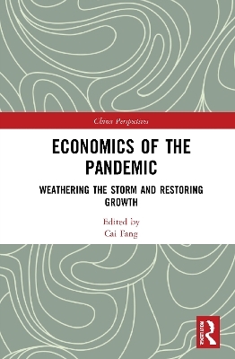 Economics of the Pandemic