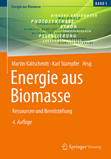 Energie aus Biomasse - 