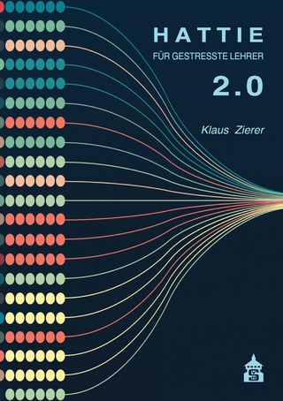 Hattie für gestresste Lehrer 2.0
