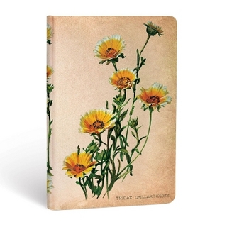 Woodland Daisies (Painted Botanicals) Mini Lined Hardcover Journal