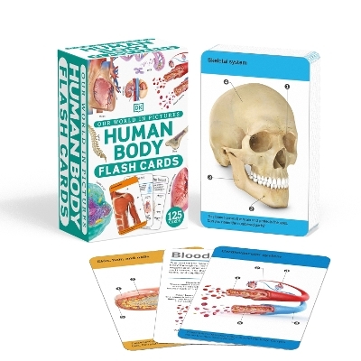 Our World in Pictures Human Body Flash Cards -  Dk