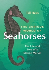 The Curious World of Seahorses - Till Hein