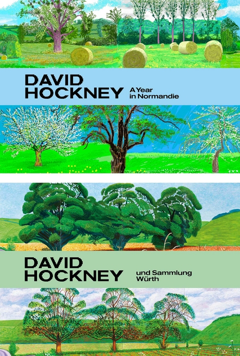 David Hockney A Year in Normandie und Sammlung W&uuml;rth - David Hockney, C&eacute;cile Debray, Marco Livingstone, C. Sylvia Weber