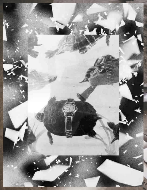 Ask the Stone - Claudia K&uuml;bler